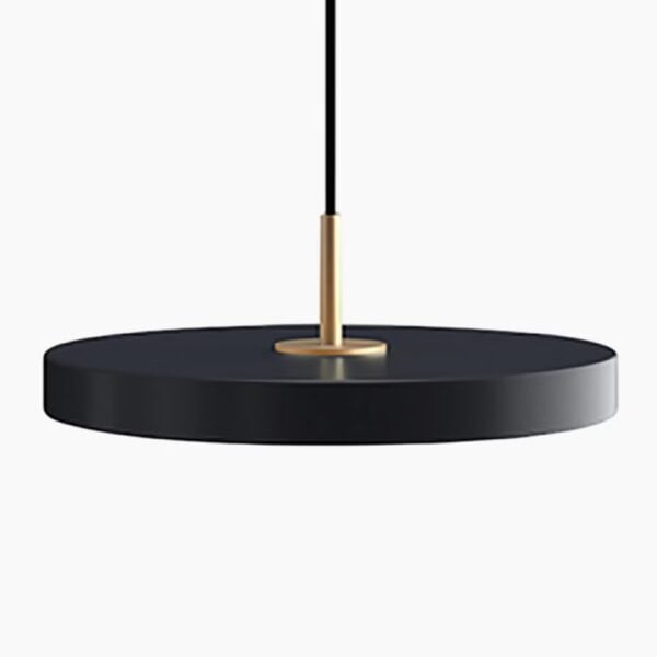 Artistieke zwart metalen LED hanglamp